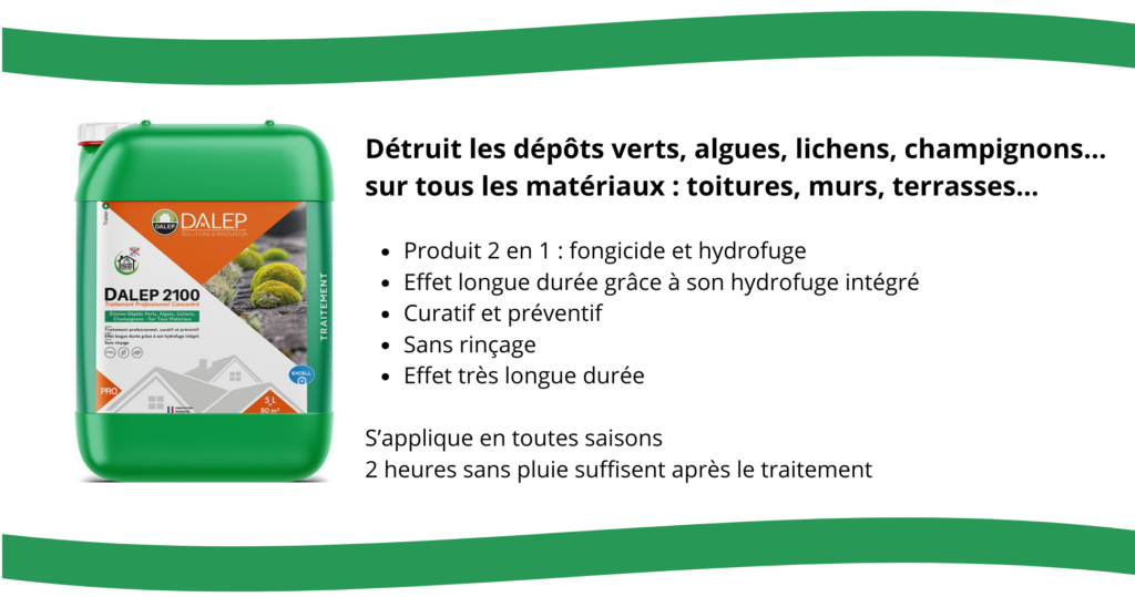 traitement fongicide traitement hydrofuge