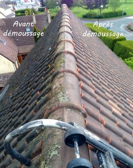 nettoyage toiture la Roche-en-Brenil