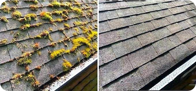 démoussage toiture
