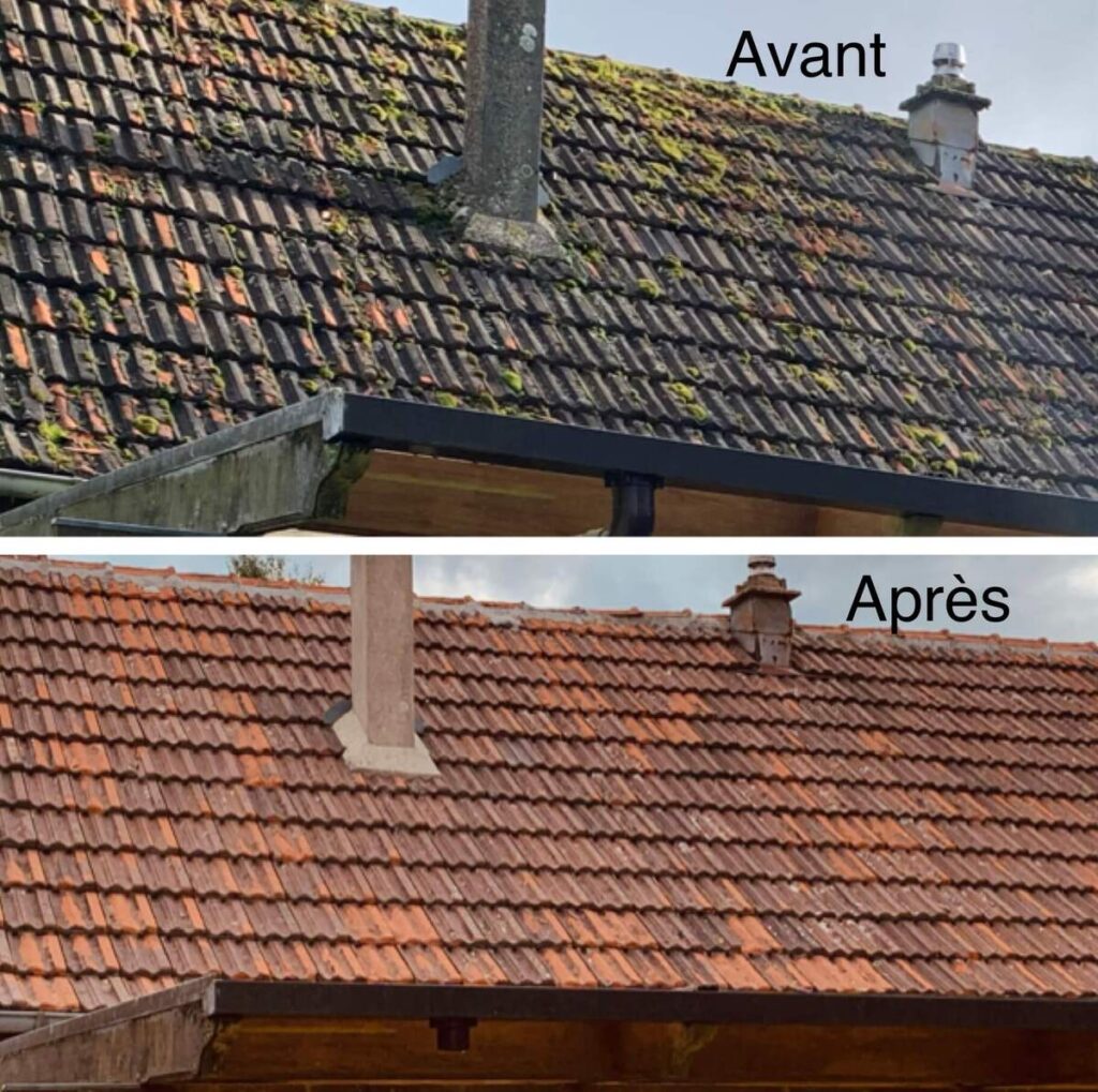 démoussage toiture Vitteaux