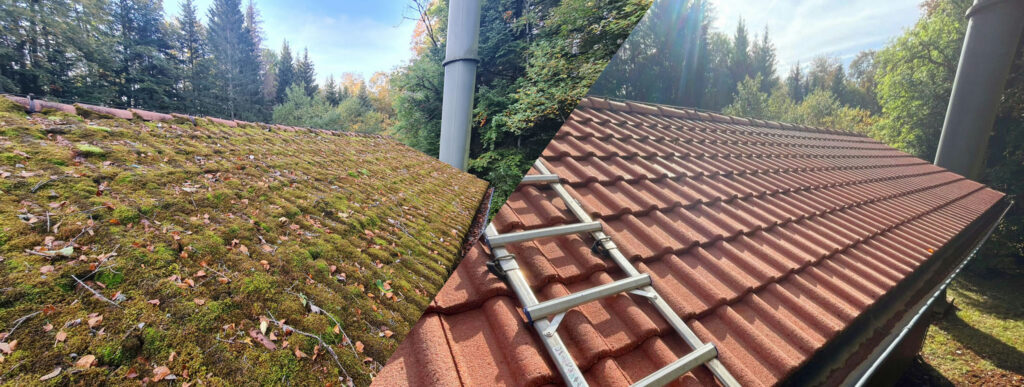 démoussage toiture Arnay-le-Duc