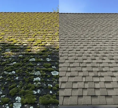 démoussage toiture époisses