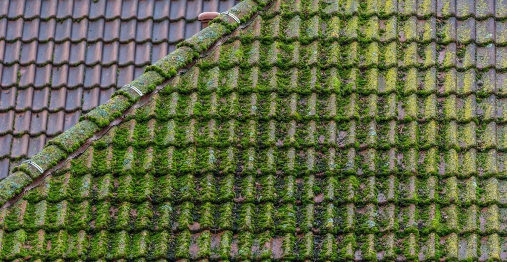 démoussage toiture Lormes