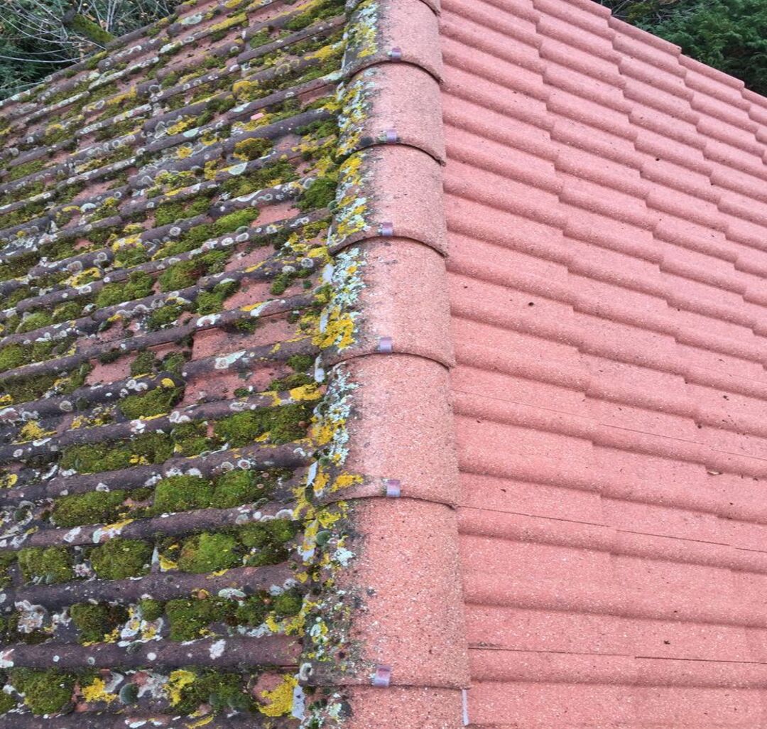 nettoyage toiture Montsauche-les-Settons