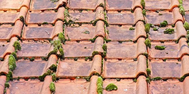 démoussage toiture Rouvray