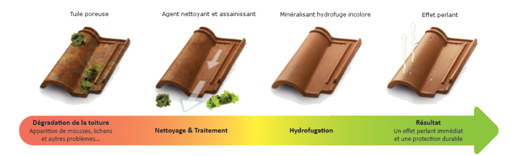 processur nettoyage de toit et demoussage de toiture