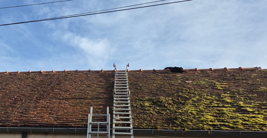 démoussage de toit