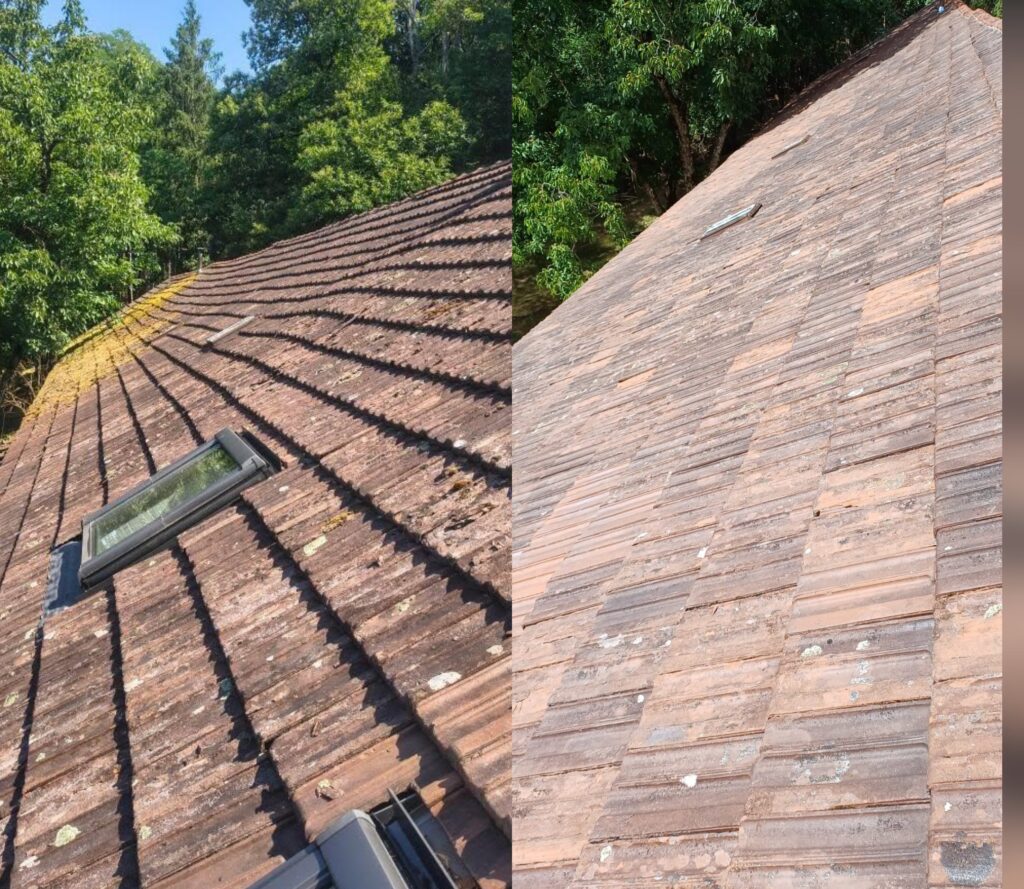 démoussage toiture autun