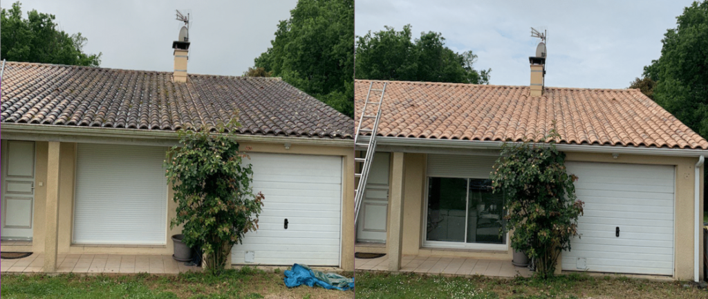 démoussage toiture Brassy