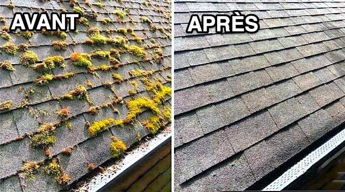 nettoyage toiture semur-en-auxois