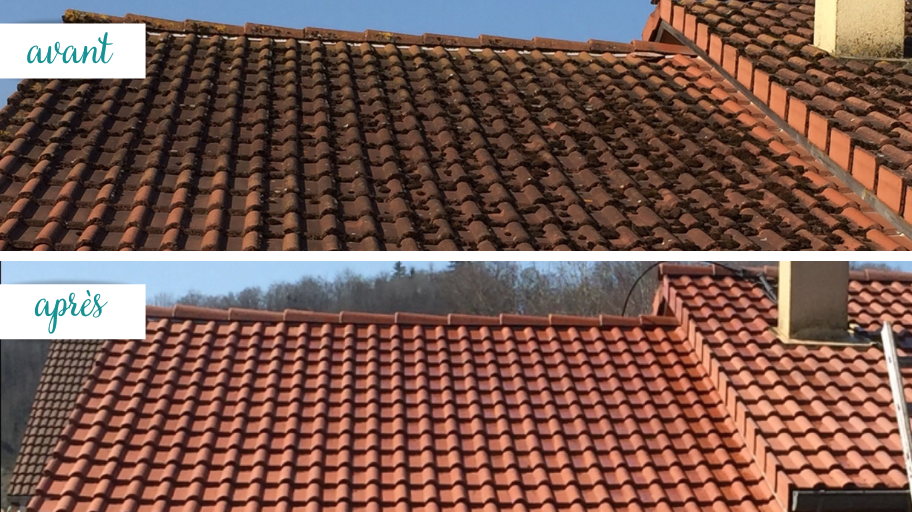 démoussage toitutre semur-en-auxois