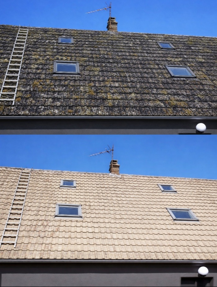 démoussage toiture pouilly-en-auxois