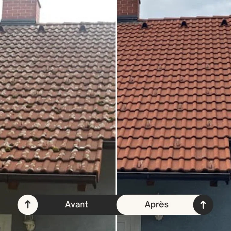 Nettoyage toiture Avallon