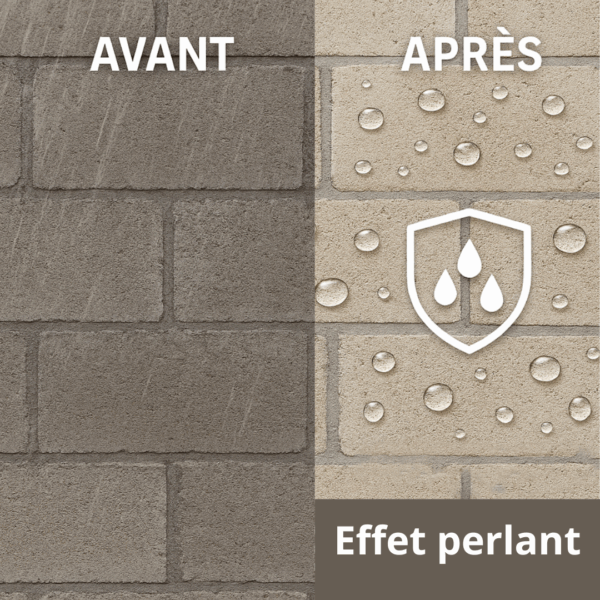 traitement anti-mousse et hydrofuge toiture