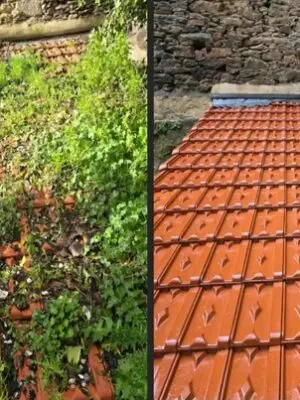 démoussage toiture Lucenay-L'évêque