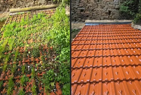 démoussage toiture Lucenay-L’Évêque