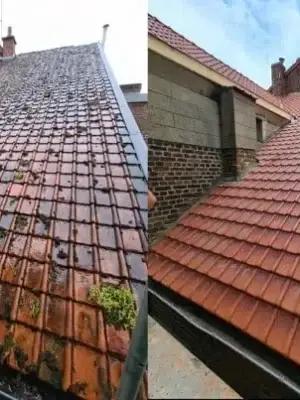 démoussage toiture Lucenay-L’Évêque