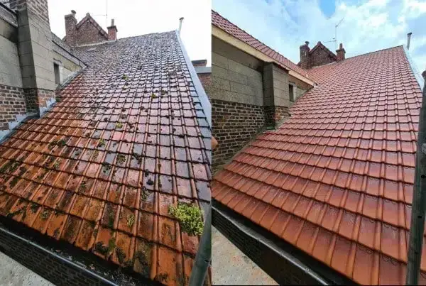 démoussage toiture Lucenay-L’Évêque