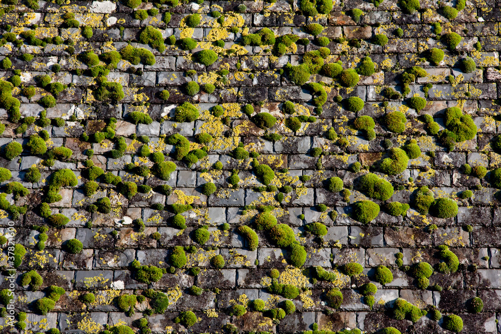 Démoussage toiture Quarré-les-Tombes