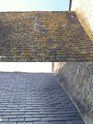 démoussage toiture Igornay