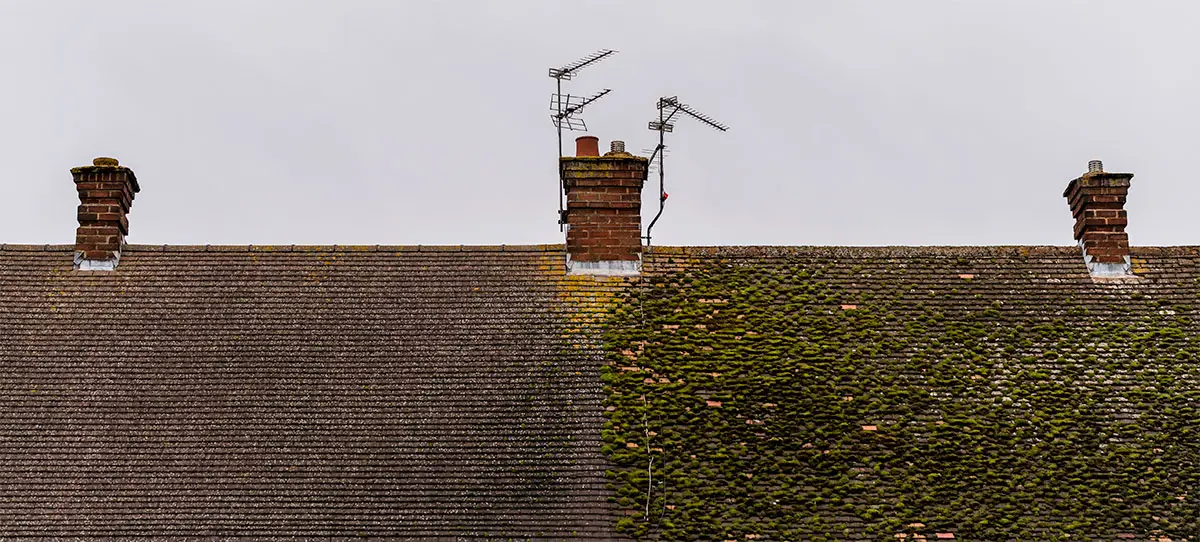 démoussage toiture Igornay